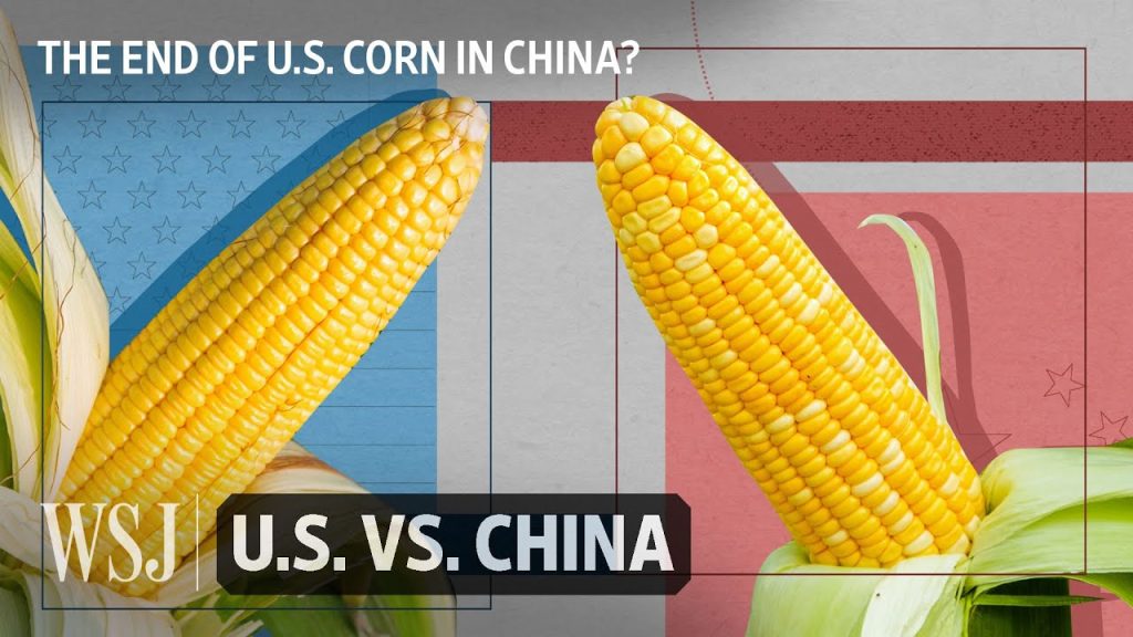 Why China’s Economy Doesn’t Want American Corn Anymore | WSJ U.S. vs. China