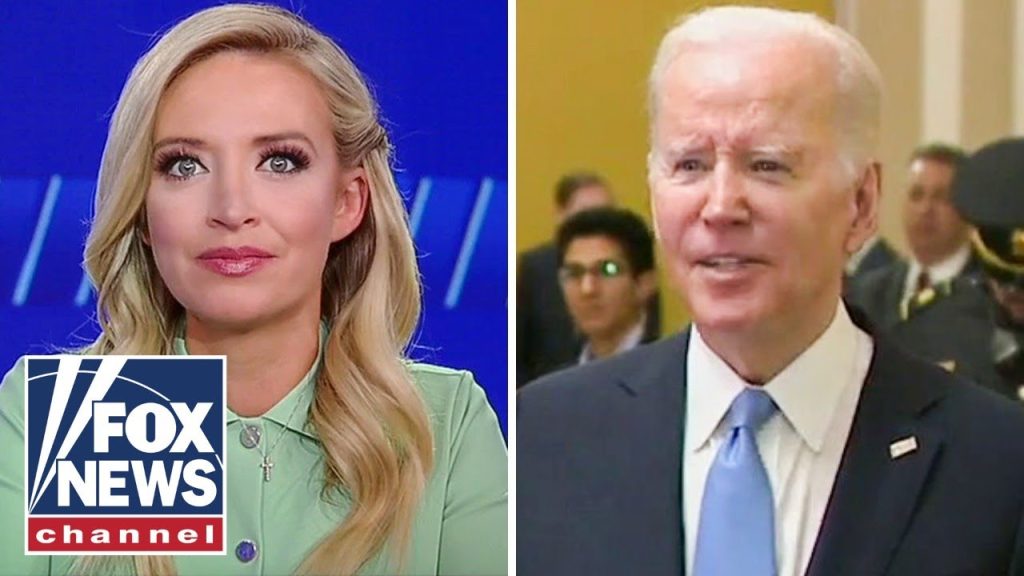 Biden spokesman blasted for ‘lies’ to MSNBC