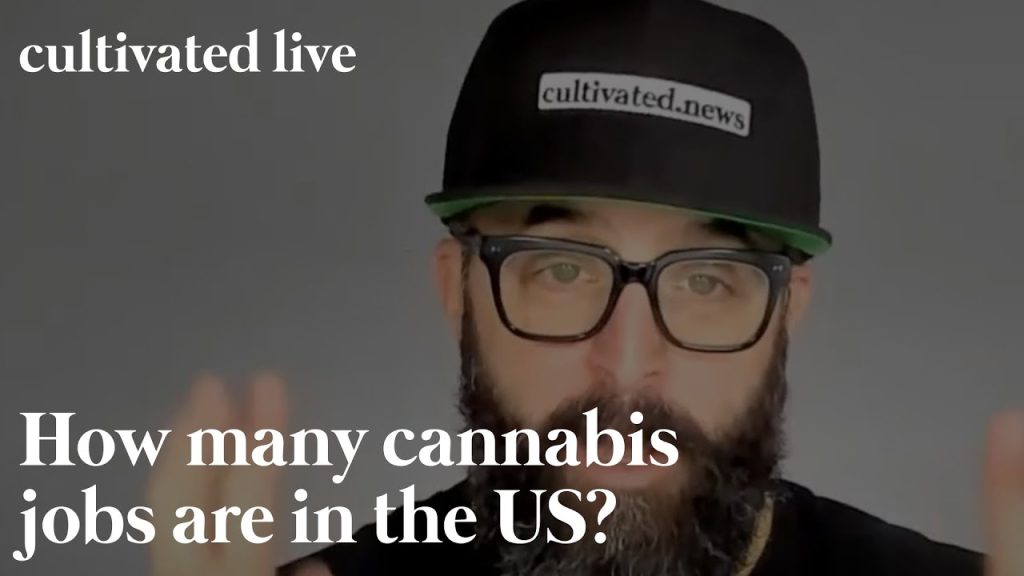 How many jobs does the cannabis industry support in the US? Vangst has crunched the numbers