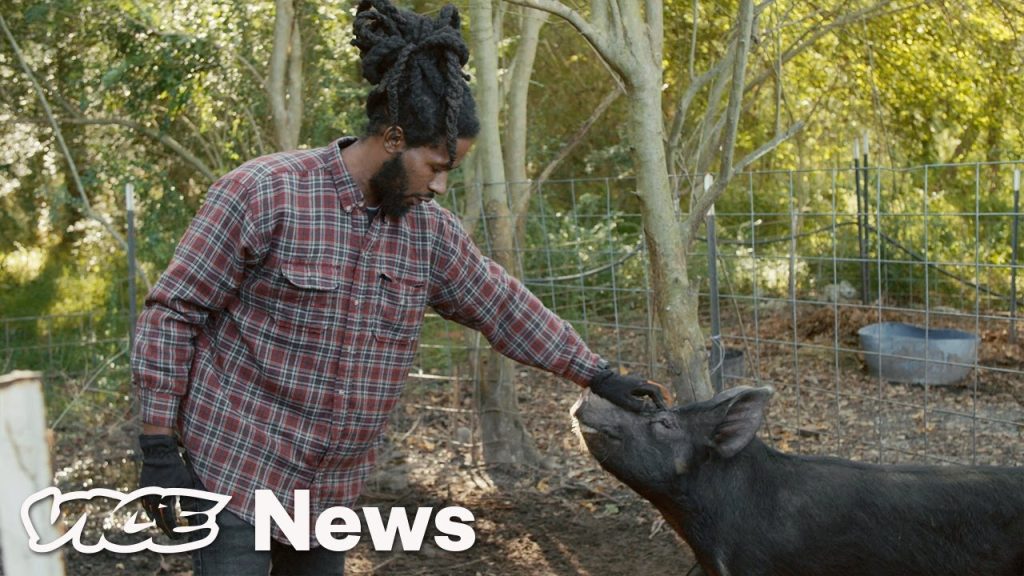 The Young Black Farmers Defying A Legacy of Discrimination