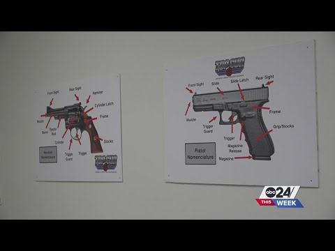 Should Bill 1325 pass, and should Tennessee teachers be armed? | ABC24 This Week