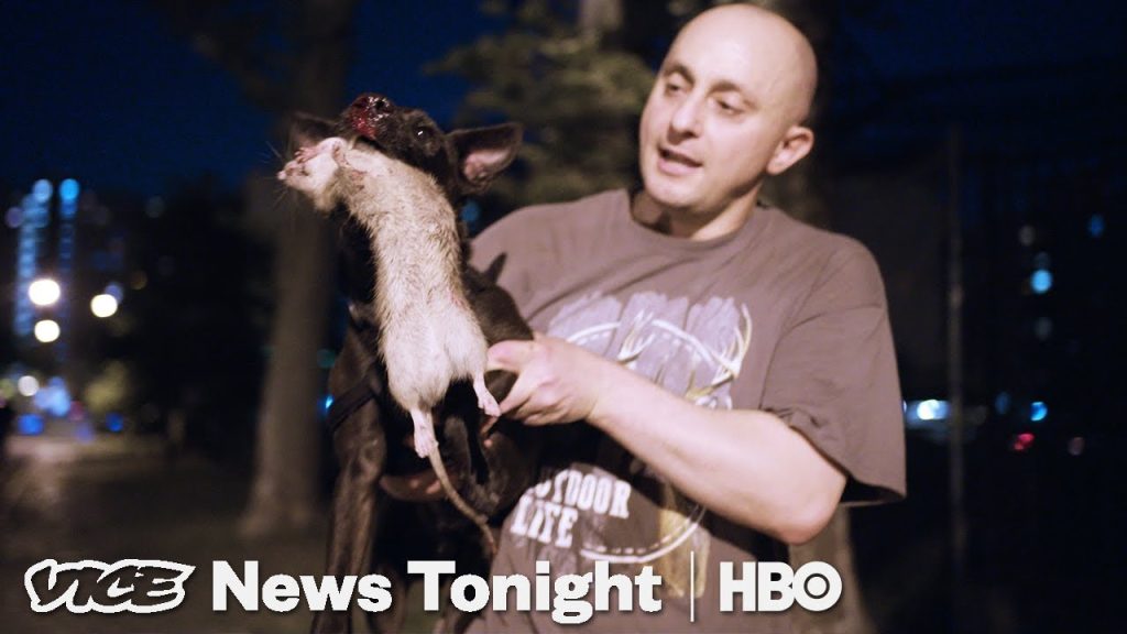 The Vigilante Group Of New Yorkers Who Hunt Rats At Night