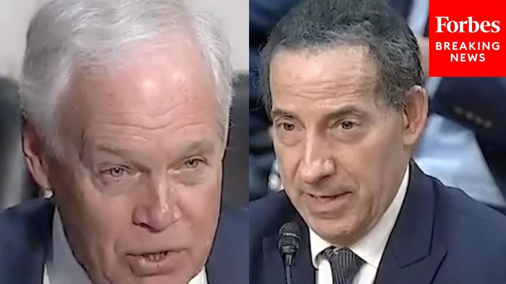 ‘Where’s The Proof?’: Jamie Raskin, Ron Johnson Spar Over Climate Change Mitigation Soutions